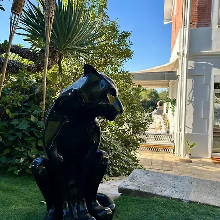 Spirit Of Queen Experience