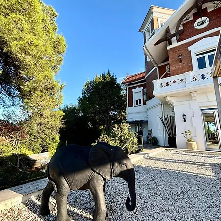 Spirit Of Queen Experience *