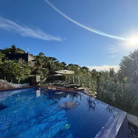 Spirit Of Queen Experience * La Floresta Pearson