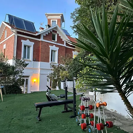 Spirit Of Queen Experience *