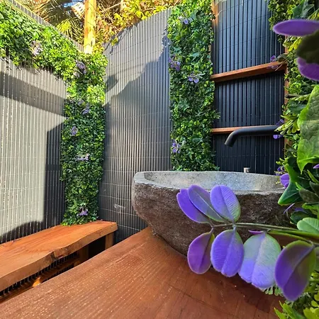 Spirit Of Queen Experience La Floresta Pearson