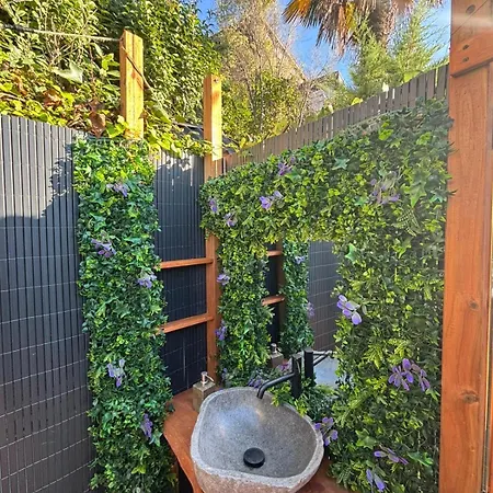 Spirit Of Queen Experience *